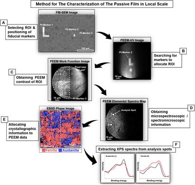 Studying the Passivity and Breakdown of Duplex Stainless Steels at Micrometer and Nanometer Scales – The Influence of Microstructure